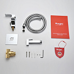 Превью: smesitel-s-gigienicheskim-dushem-raglo-r01_52011.jpg