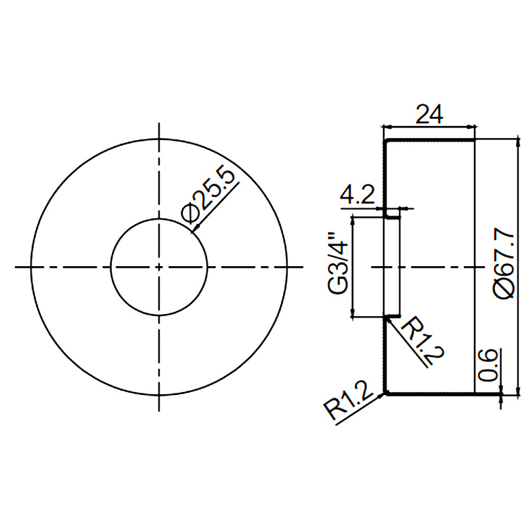 R599_06_06(200).jpg